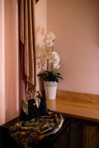 Impero Vaticano Suites Guest House - 138
