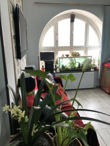 Dom Polski Guest House - 5