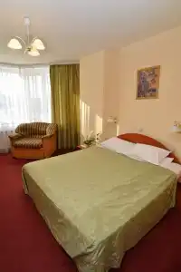 Tsentralny EuroHotel - 90