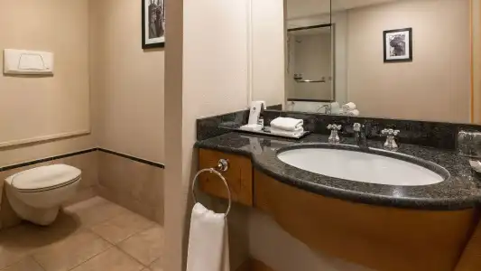Hyatt Regency - 40