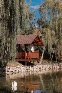 Poiana Bradului Complexier & Restaurant Resort - 4