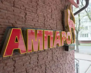 Amparo - 14