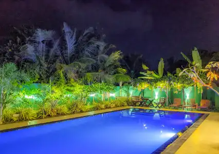 Golden Wild Yala - 18