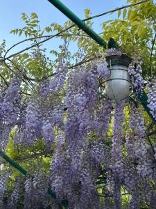Ashtarak Garden GuestHouse - 2