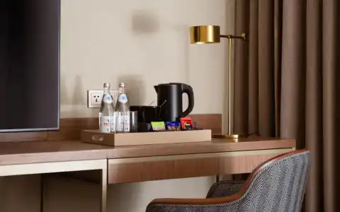 Swissôtel Wellness Resort Alatau - 14