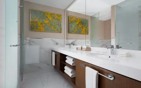 Swissôtel Wellness Resort Alatau - 72