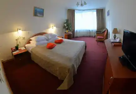 Tsentralny EuroHotel - 101