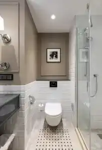 Chekhoff Moscow Curio Collection by Hilton - 55