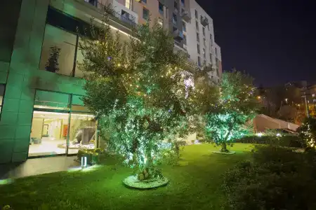 Dosso Dossis Golden Horn - 21