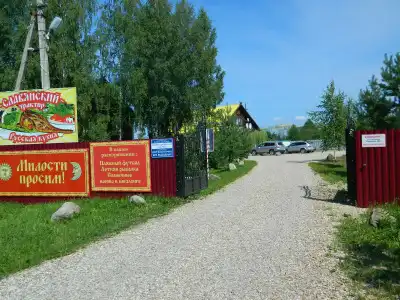 Rif - 32