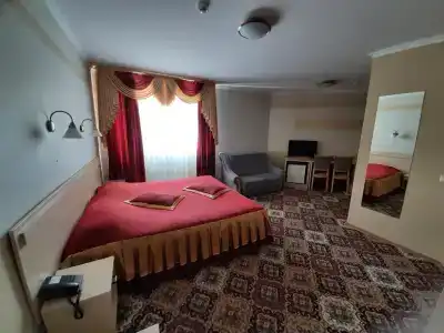 Gostinitsa Rossiya - 110