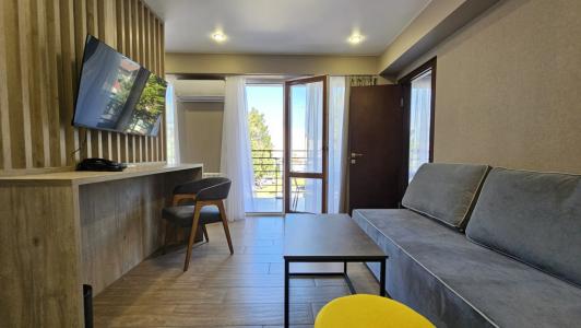 Бристоль - 56