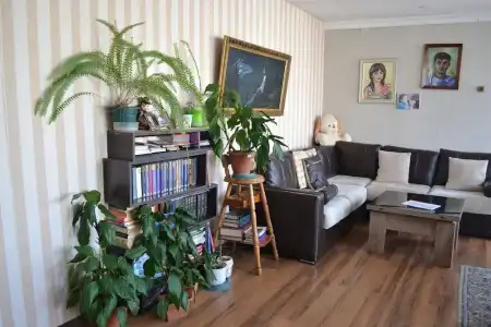 Your House in Tbilisi - 5