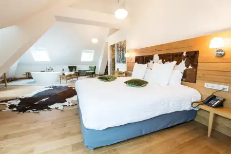 Hôtel Spa Marotte - 78