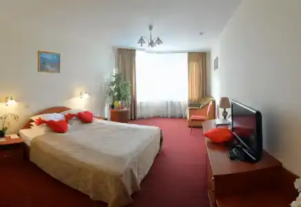 Tsentralny EuroHotel - 98