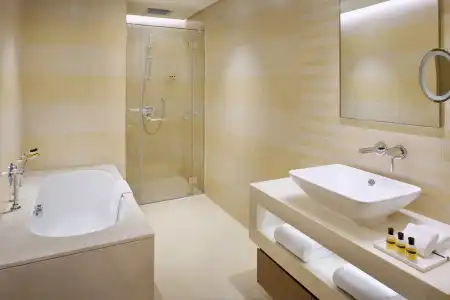 Hyatt Regency Dubai Creek Heights - 5