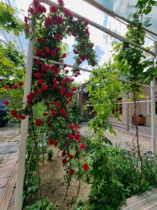 Hostel Muborak - 44