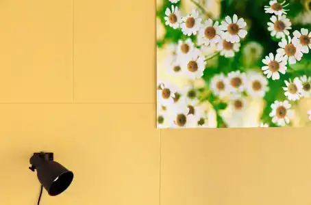 Live by Originals - 64