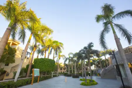 Stella Gardens Resort Makadi Bay - 24 HRS All Inclusive - 13