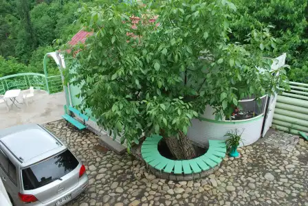 Guest House Central - 15