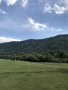 Sky Yurts Camping - 13