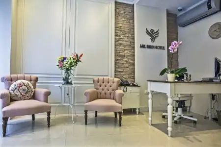 Mr. Bird Boutique - 4