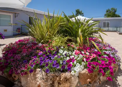 Paradice Luxury Suites-Near Zorbas Beach-Free Breakfast - 41