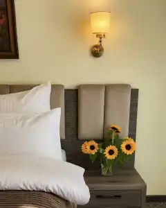 Multi Grand Resort - 32