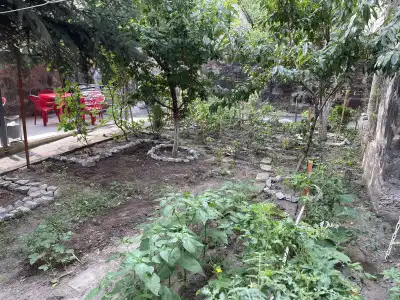 Ankyun Guest house - 22