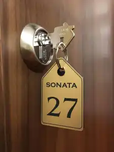 Sonata na Nevskom 5 Dvorcovaja ploshhad' - 32