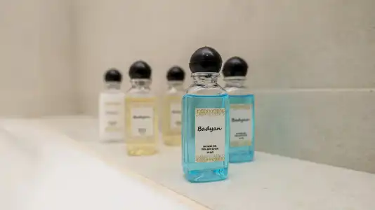 Badyan - 60