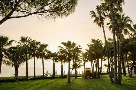 Acanthus Cennet Barut Collection - Ultra All Inclusive - 46