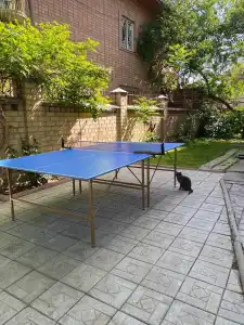 Cats&Beds Hostel - 2