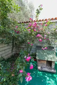 Apartments Viktorija - 11