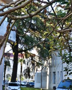Guest house "LSD" - 9
