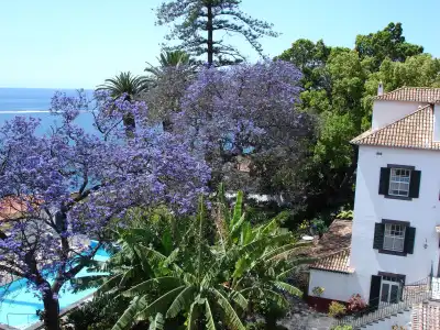 Quinta da Penha de França - 41