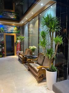Vella Elegant - 31