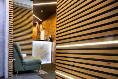 Wellion Baumansky - 3