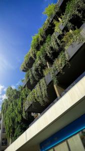 Bamboo Garden - 23
