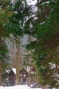 Just Wood recreation - 24