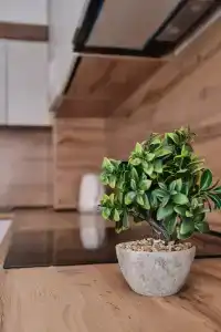 Seven City Apartment - 123