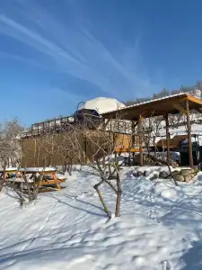 EcoHouse Glamping by Art - 15