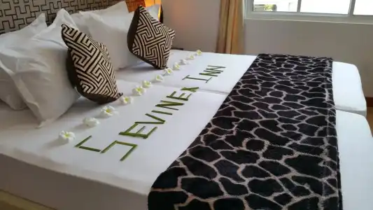 Sevinex Maldives Guest House - 1