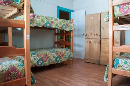Forestal Hostel - 7