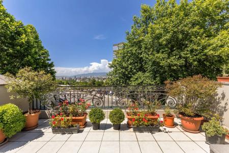 Bella Casa - 31