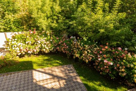 Lel Eko-Kompleks - 152