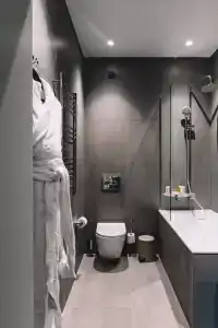 Neshalashi Lesnoy - 150