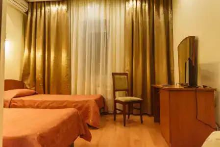 Parfenon Mini-hotel - 66