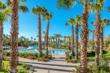 Acacia Resort - 8