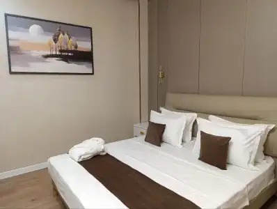 Art Regency Premium FREE airport service - 5